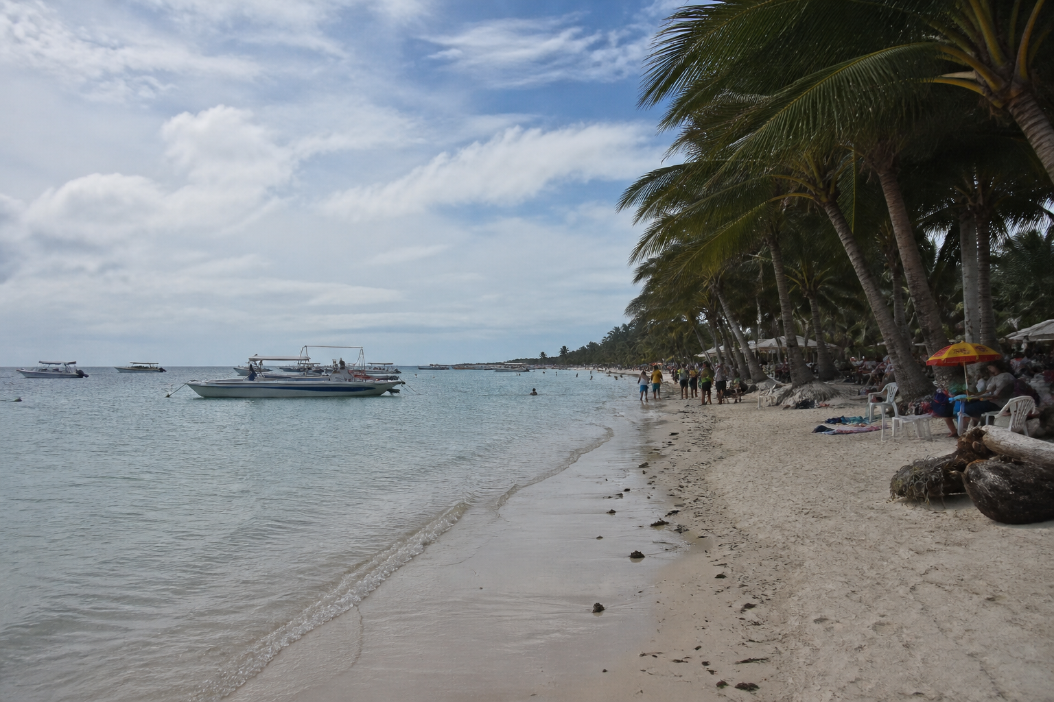 A broad tropical shoreline edged by palms